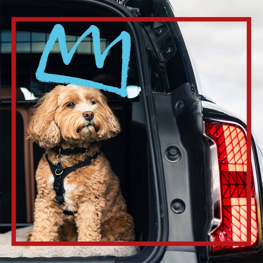 MINI Club | MINI Türkiye